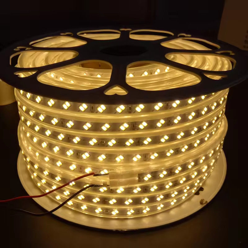220V SMD5630 5730 120 LED 스트립 장수 듀플 라이 디자인 유럽에서 CE/RoHS 인증