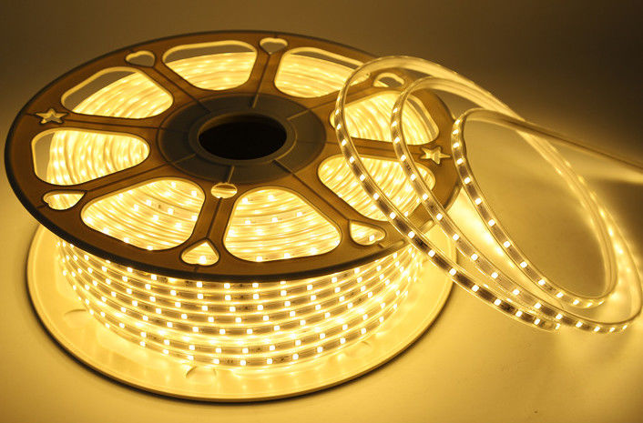 IP65 SMD5050 60LEDs/m 220V LED 스트립과 80 CRI FPC CE/RoHS 인증 남아메리카
