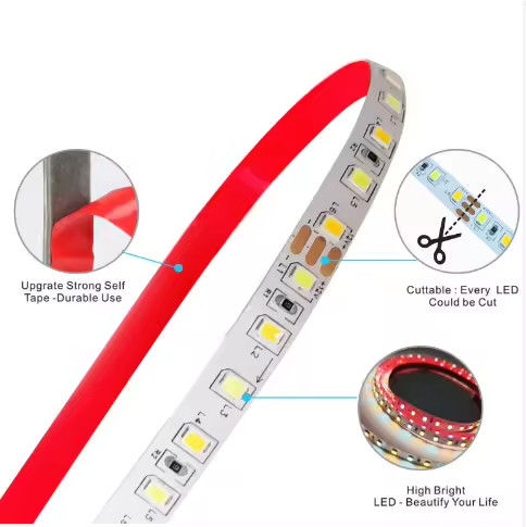 공장 판매 2색 CCT LED 스트립 라이트 24v 색상 온도 조절 120led 12v 라이트 2835 LED 스트립 장식