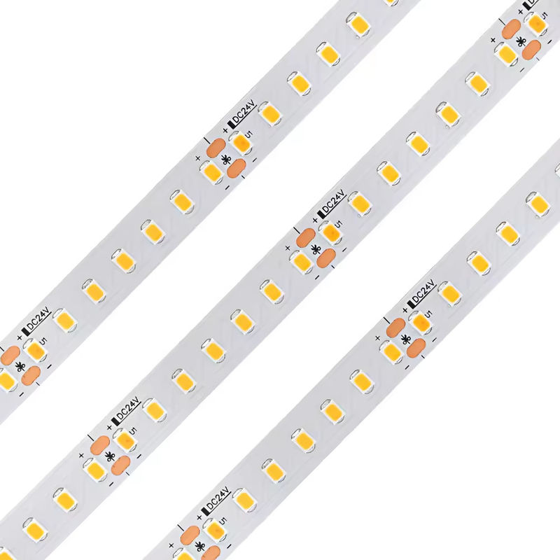 높은 CRI 98 전체 스펙트럼 장수 120leds/M Dc24v 10mm 120led Smd 2835 실내 장식 LED 스트립 라이트