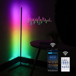 현대적인 장식용 실내 조명 LED 바닥 램프 RGB IC 스마트 코너 대기 조명