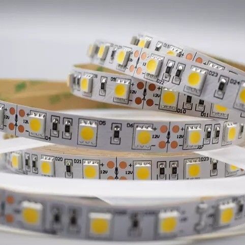 12w 12v 24v 10mm 60 LED Rgb 5050 Smd 유연 LED 스트립 라이트와 멀티 컬러