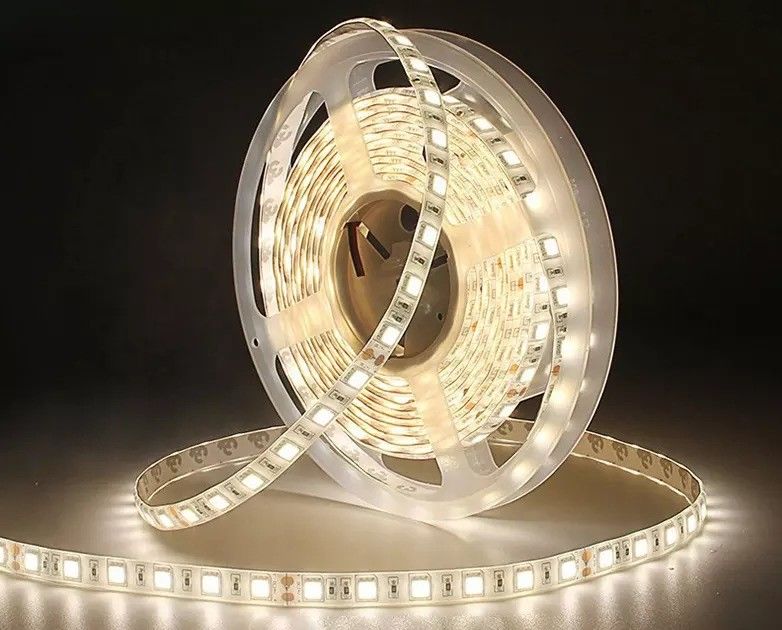 12w 12v 24v 10mm 60 LED Rgb 5050 Smd 유연 LED 스트립 라이트와 멀티 컬러