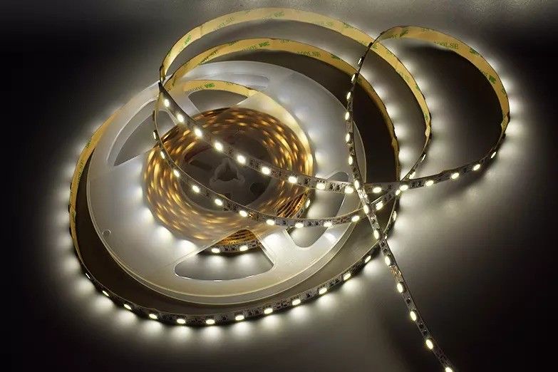 12w 12v 24v 10mm 60 LED Rgb 5050 Smd 유연 LED 스트립 라이트와 멀티 컬러