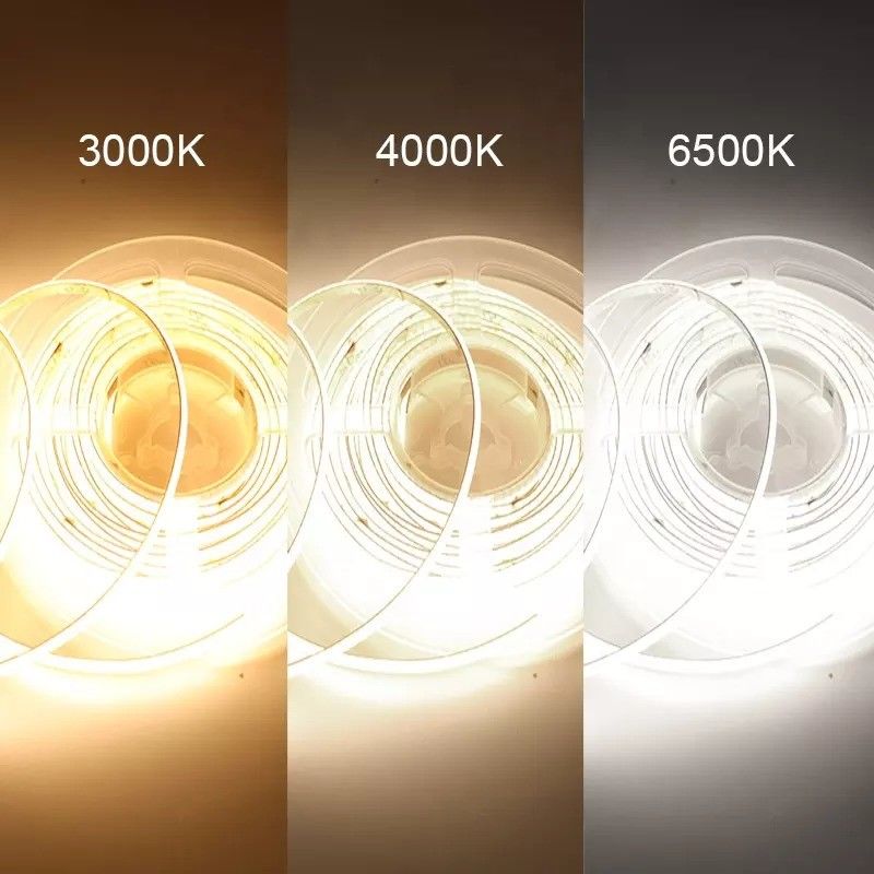 커스터마이징 가능한 RGBW RGBWW RGBIC RGB CCT 야외 조명용 네온 조명 50000 작업 시간