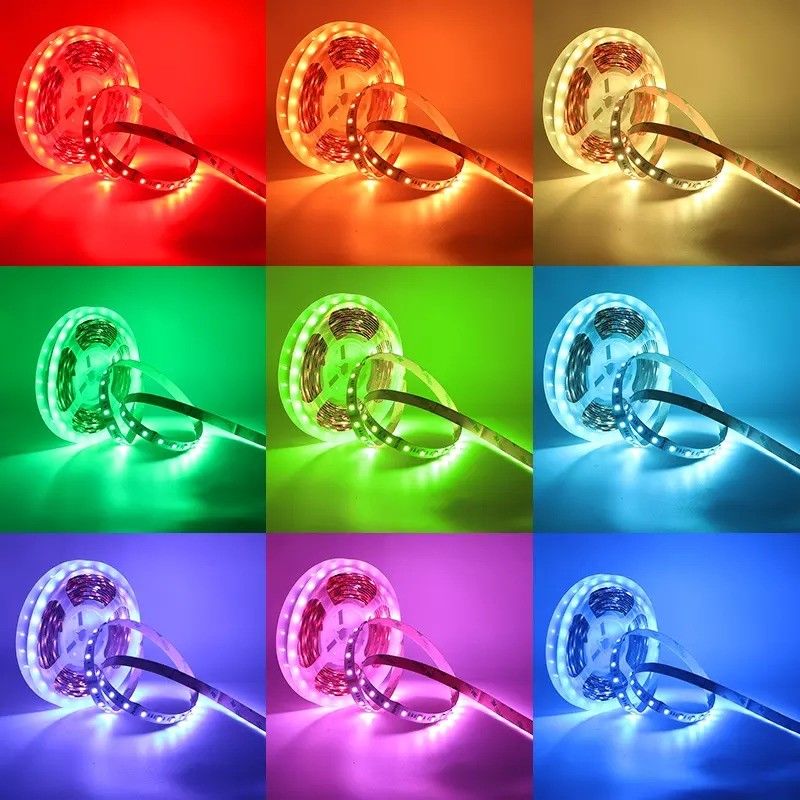 12w 12v 24v 10mm 60 LED Rgb 5050 Smd 유연 LED 스트립 라이트와 멀티 컬러