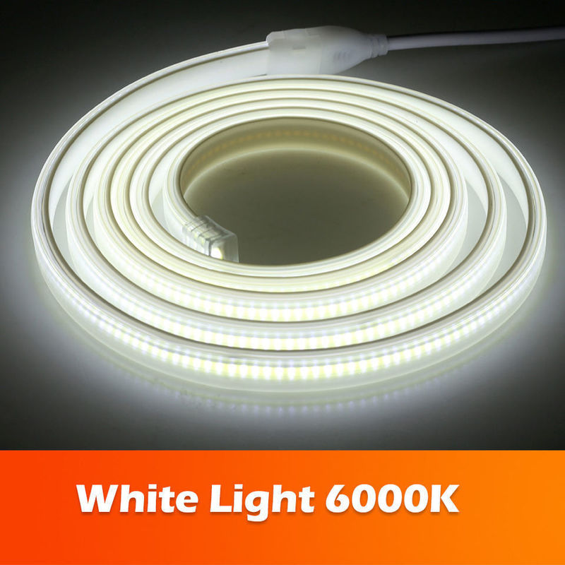 220v 280LEDs / m 흰색 / 따뜻한 흰색 / 중립 흰색 COB LED 스트립 CE RoHS 100m 50m 고전압