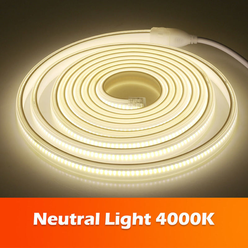 220v 280LEDs / m 흰색 / 따뜻한 흰색 / 중립 흰색 COB LED 스트립 CE RoHS 100m 50m 고전압