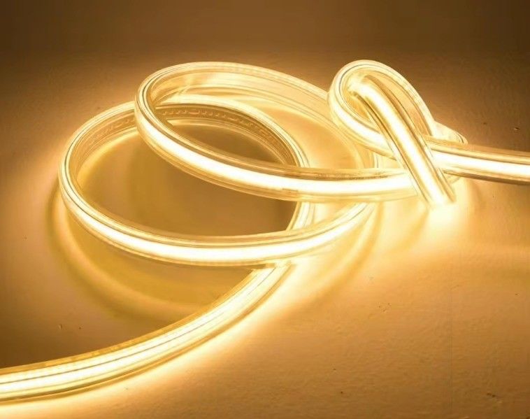 220V 110V 스마트 LED 스트립 EU 플러그 US 플러그와 함께 현대 방수 야외 긴 스트립 조명